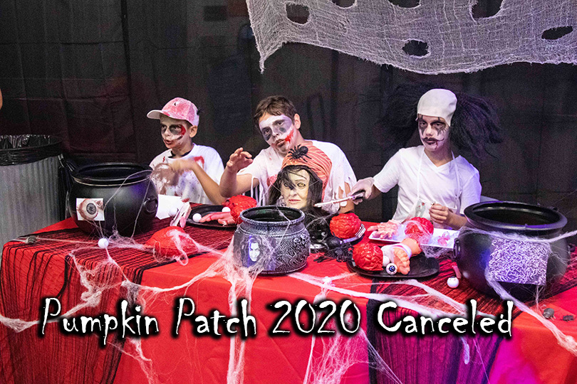 Pumpking-Patch-2020-Canceled